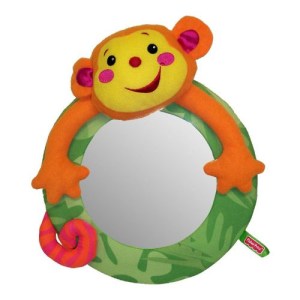 monkey-mirror